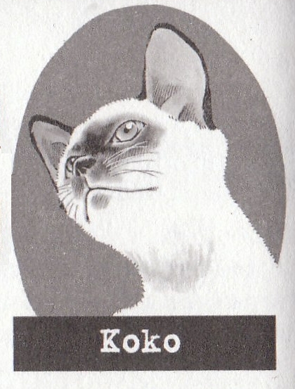 Datei:Koko.jpg