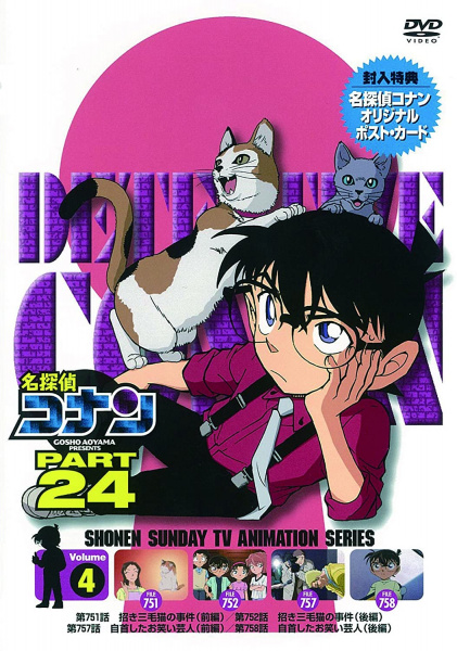 Datei:DVD 24-4 (Japan).jpg